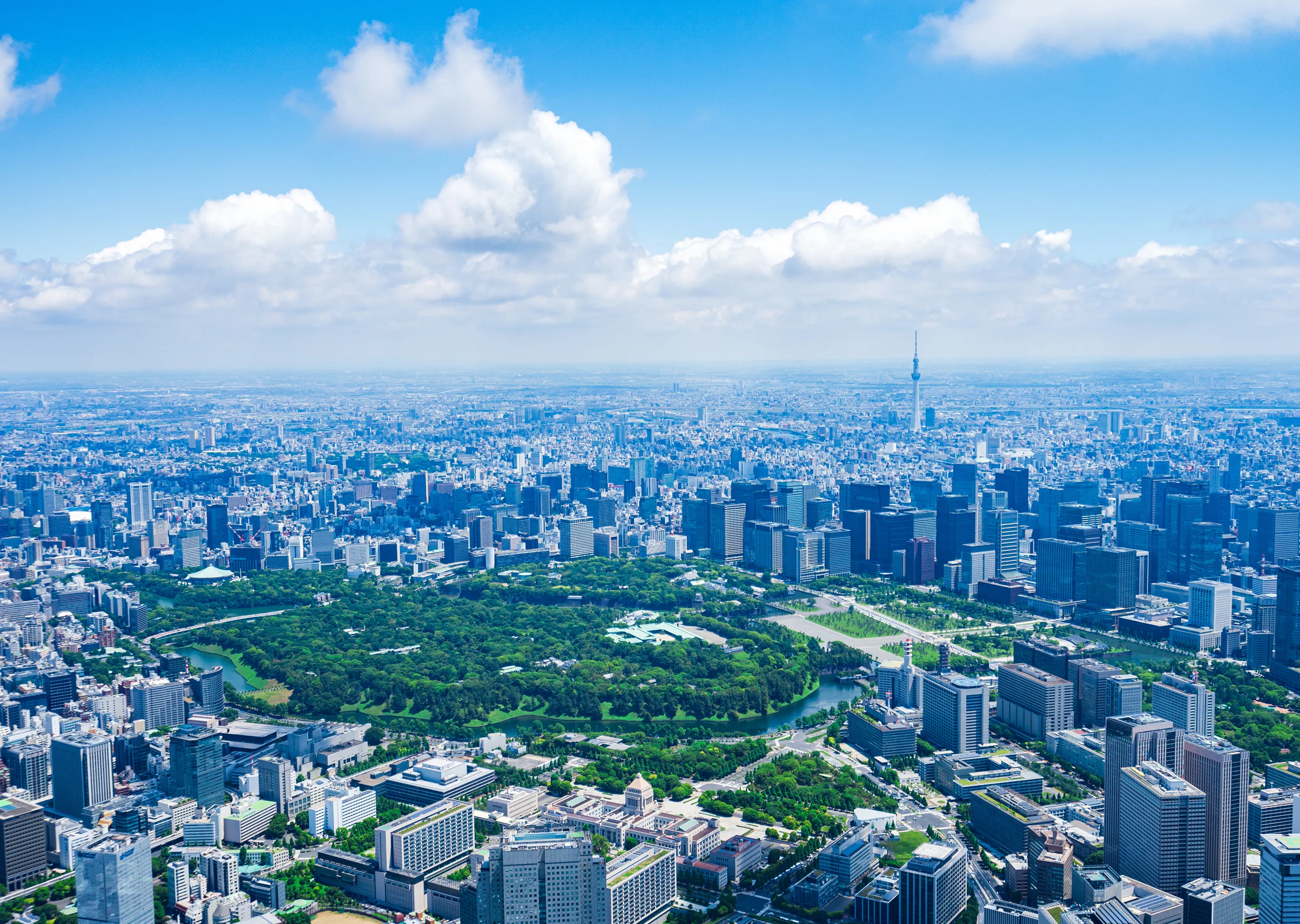 東京鳥観のの写真